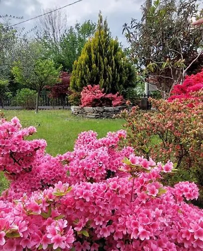 Eden Bed & Breakfast